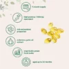 Aged Garlic Extract Softgels – Odorless Garlic Oil for Immune & Heart Wellness Support