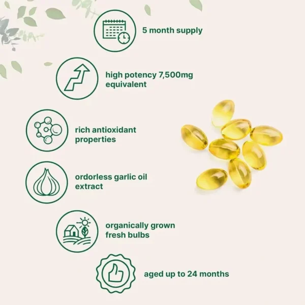 Aged Garlic Extract Softgels – Odorless Garlic Oil for Immune & Heart Wellness Support
